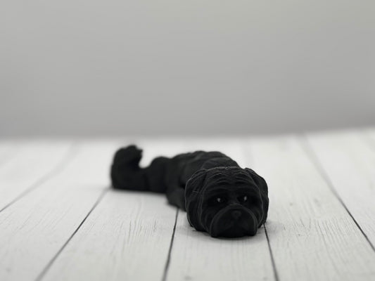 Black Shih Tzu