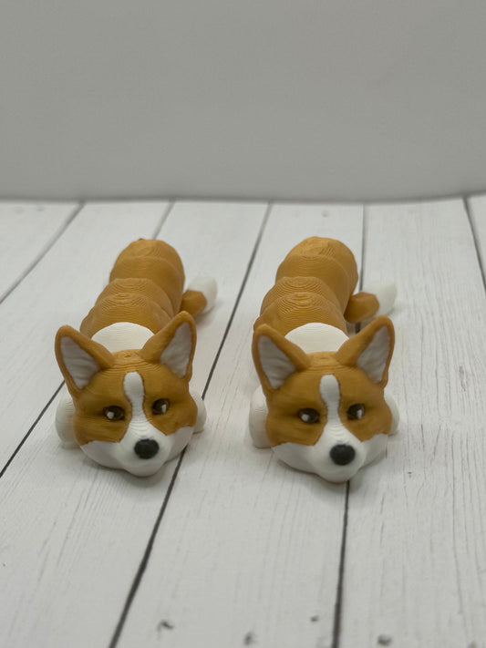 Corgi Flexi